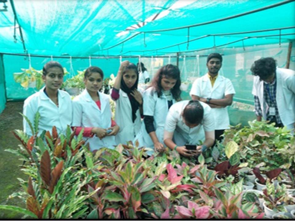 B.Sc Bio Technology